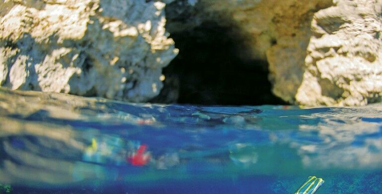 Special interest travel